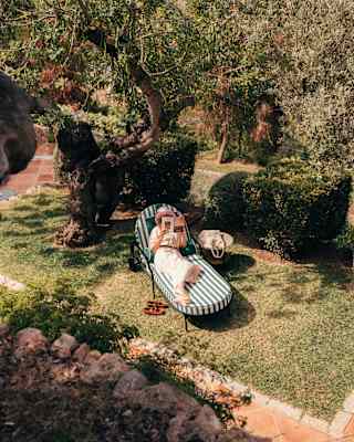 On a lawn in the shade of an ancient olive tree, a woman lies on a green and white-striped lounger, reading, seen from above.