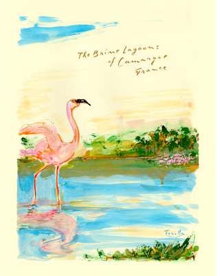 Painting by Andrea Ferolla of a pink flamingo wading in wetlands in an image entitled the Brine Lagoons of Camargue, France.