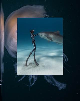 A diving stands on the tips of her flippers on the seabed greeting a shark in an image that overlays a photo of a jellyfish.
