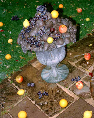 Fresh apples, lemons, grapes and oranges lie on and around a bronze fruit urn by Lloyd LeBlanc, photographed by Sophie Green.