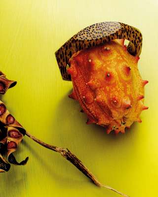 A resin-like ring with a black freckled pattern is displayed on an orange-hued spiky kiwano fruit on a yellow background.
