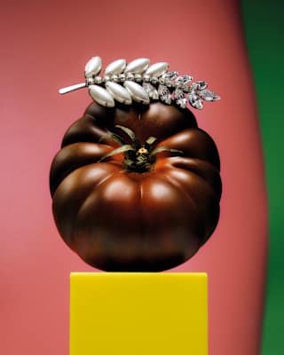 In an artistic composition, a maroon beef tomato akin to a Black Krim sits on a yellow plinth, adorned with a silver laurel.