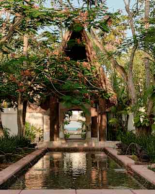 View over the atmospheric Ranas Fountain where rows of stone frogs spout water in the cool dappled shade of ferns and trees.