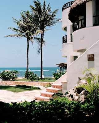 View from gardens past white residences with thatch-covered balconies and roof terraces to two tall palms at the ocean edge.