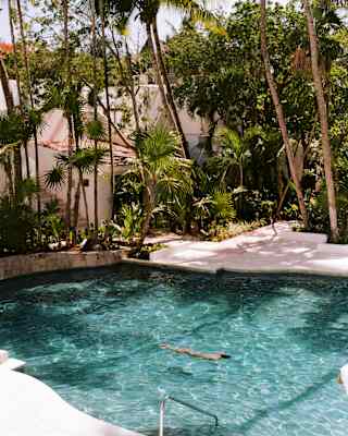 A lone swimmer floats in the rippling pool watched over by towering palm trees that cast long shadows over the water.