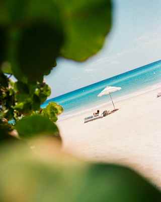 A guest lounging on a pristine white beach gazes at the dazzling blue sea ahead, seen in an angled view from behind foliage.