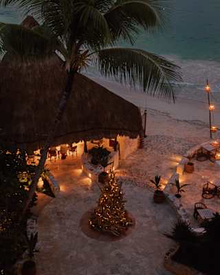 A beachside hut decorated with fairy lights and a lit Christmas tree beside palm trees, overlooking calm sea water at dusk.