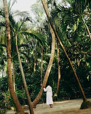 A woman in a white robe rests a hand on the graceful bend of a huge palm tree trunk, seen from behind in the gardens.