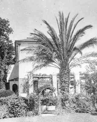 A black and white photo of a house surrounded by dense plants and trees, including a large palm tree in the foreground. The house has arched doorways and a mountainous backdrop.