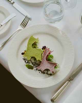 A white plate with two pieces of coloured crispbread—one green, one pink—shaped like dinosaurs, garnished with greens and crumbs, set on a white tablecloth with a fork, knife, and glass of water nearby.