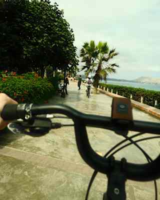 Cyclist's view over bicycle handlebars of the smooth boardwalk with lush gardens on the left and the ocean on the right.