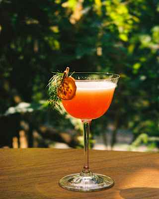 Light catches an orange fruit cocktail in a coupe glass garnished with hydrated citrus and leaves, glowing with sunset hues.