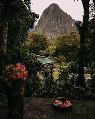 View of the Sanctuary Lodge gardens