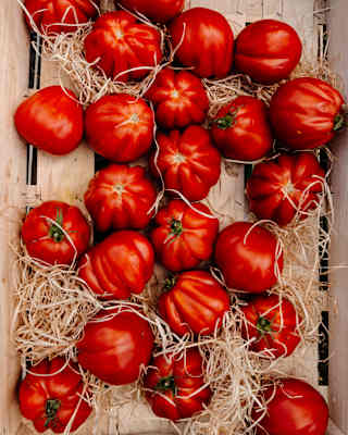 Several large, ripe red tomatoes are arranged in a wooden crate with straw scattered around them.