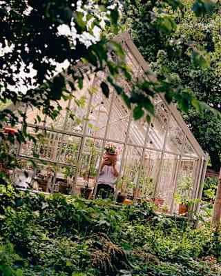 Tilted image of a man standing at a window inside a greenhouse, holding a flower pot in front of his face, seen from gardens.