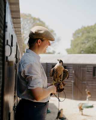 A male falconer, in a flat cap, holds a peregrine falcon on his gloved hand, seen side-on, with more birds perched behind.