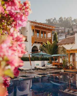 Diagonal eye-level view over the still pool, where three sun-loungers recline under a parasol, part-obscured by pink blooms.