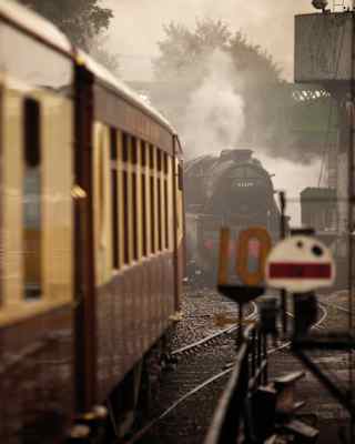 Steam engine and cream and chocolate-coloured vintage train carriages on tracks