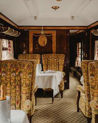 View into the Ibis Car where luxurious gold-tone dining chairs with floral embellishments face tables with Champagne coolers.
