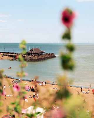 People relax on Broadstairs beach, in a view that sweeps towards the jetty, part-obscured by a pink hollyhock in soft focus.