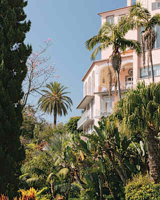 The soft pink hotel rises into the blue sky from a busy green garden of lush tree ferns and tall palms, in a low angle shot.