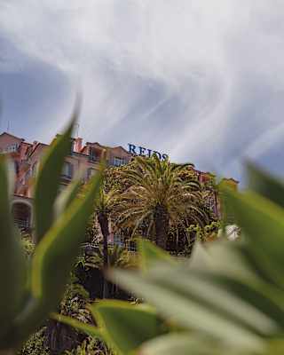 Low-angle view of Reid's Palace from the verdant gardens, where the hotel-top signage can be seen behind the palm tree tops.