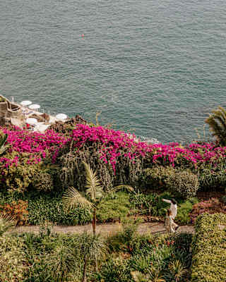 A couple walks along a clifftop garden path, flanked by exotic plants and pink bougainvillea blossoms, seen from above.