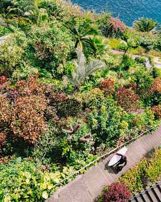 A man in a wetsuit carries a surfboard under his arm as he climbs steep steps through lush tropical gardens, seen from above.