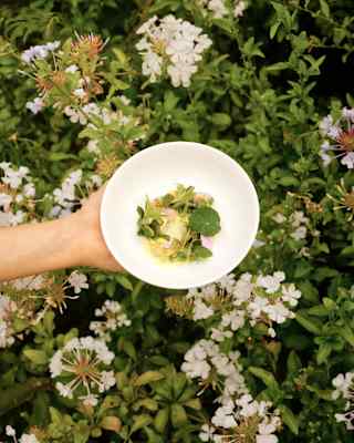 Close-up of a white bowl with a creamy desert topped with edible plants, held out over a white-flowering garden plant.