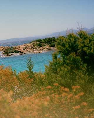 View over gorse-like foliage to an azure bay with a low rocky promontory, seen from the Pevero Trail.