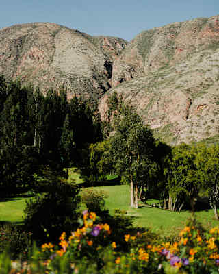 Boulder hills and dense trees hem in the lush green gardens of the Rio Sagrado hotel, seen from behind a flowering shrub.