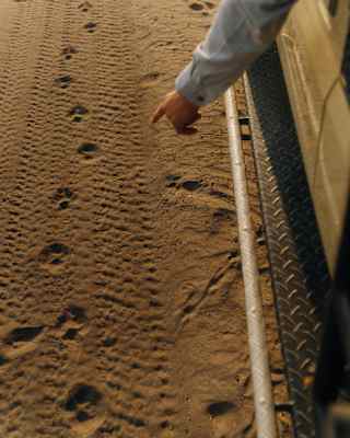 An arm leans out of a jeep, pointing out paw prints in the sand, seen in a shot that captures the side of the vehicle.