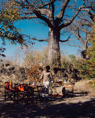 A member of staff prepares an outdoor dining table beneath a tall baobab tree, surrounded by dry bushland and blue skies.