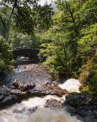 Hikers walk over an old stone bridge spanning a fast-flowing river with rocks and rapids which cuts through verdant forest.