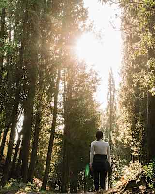 Lady in hiking gear strolling along a path in a forest with sun bursting through the trees