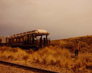 A woman in a brown poncho, camouflaged against the grasses, stands behind the Andean Explorer, viewed across train tracks.