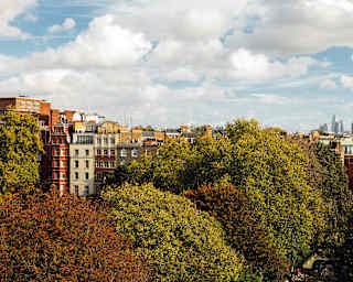 Red and gold treetops of Cadogan Place Square give way to distant views of City towers and the crown of the London Eye