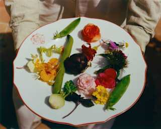 Looking down on a plate of edible flowers, in orange, pink and purple, alongside a mange-tout, radish and haricot bean pod.