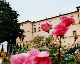 Low-angle view of the cream façade of Castello di Casole, seen from gardens over blushing pink roses.