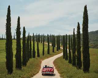Red vintage soft-top car driving along a winding driveway lined by cypress trees