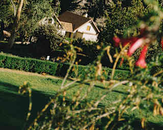 Angled view of a casita nestled among trees in the Las Casitas grounds, viewed over hedgerows with a mountain backdrop.