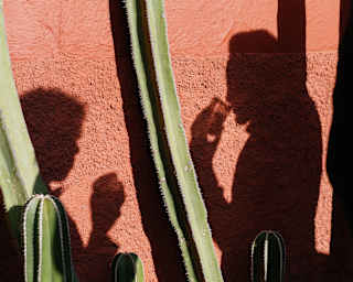 On a sunny day, the shadows of two wedding guests sharing a drink are photographed on a red wall behind long cacti stems.