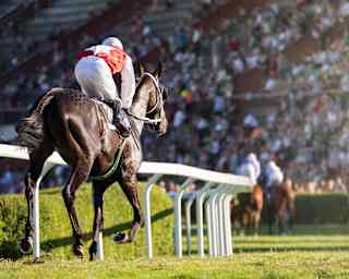 Jockey in a red top riding a chocolate coloured racing horse on a race track