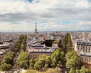High-angle view of the tree-lined avenues of D'Iéna and Kléber, and Paris's Haussmannian blocks, to the distant Eiffel Tower.