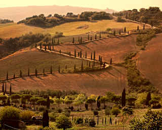 In the late Tuscan sun, a snaking road with cypress pillars carves through the olive and bronze fields of Crete Senesi.