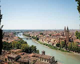 High-angle view, seen through pine trees, over the Adige, which cuts through Verona's clusters of terracotta rooftops.