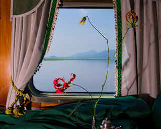 A tray with a silver tea set rests on a green duvet adorned with a flame lily that stands out against the misty window view.