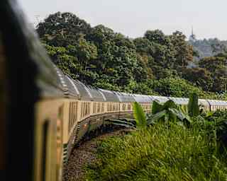 View down the exterior of the carriages of the Eastern and Oriental Express as it rounds a corner, banked by dense foliage.