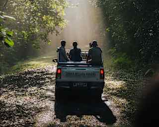 Silhouetted in a shaft of hazy sunshine, a truck carrying four people makes its way through the towering Taman Negara forest.