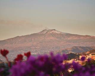 A puff of smoke from the volcano meets a hazy blue sky in a splendid view of Mount Etna, seen behind a pink flowering bush.
